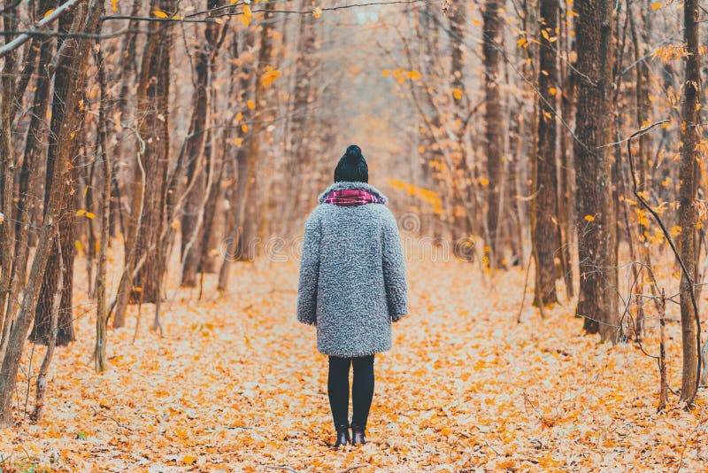 单独站立沿在秋天森林后面视图的足迹的年轻女人 旅行,自由,自然概念 库存照片 单独站立沿在秋天森林后面视图的足迹的年轻女人 旅行,自由,自然概念 库存照片